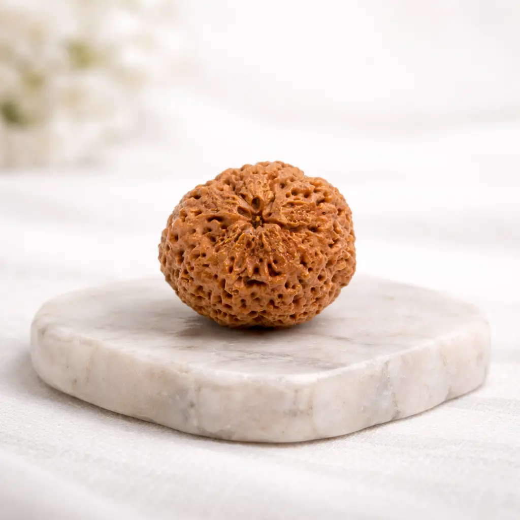 7 Mukhi Rudraksha Bracelet